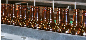 Photo of Beer Bottles