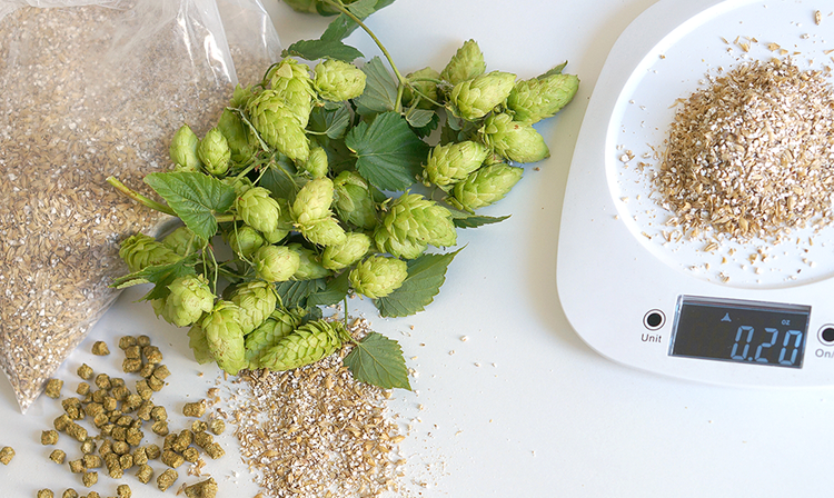 Hops being weighed and measured