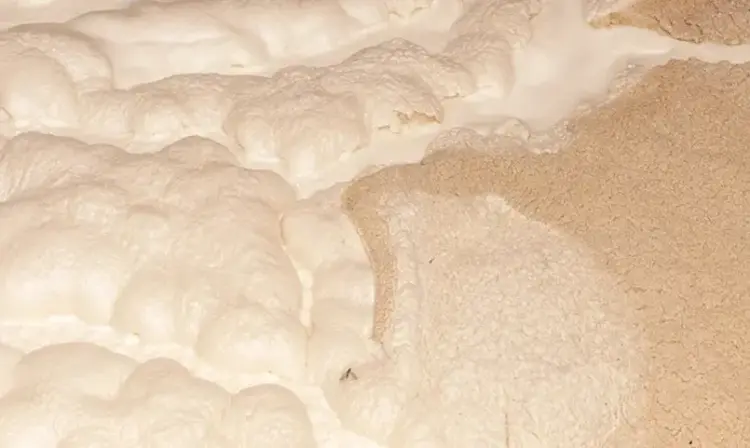 white foamy white foam on a surface