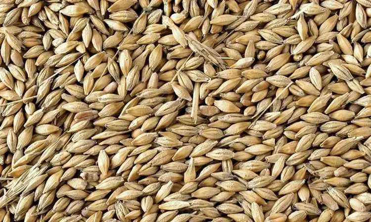 a pile of Barley